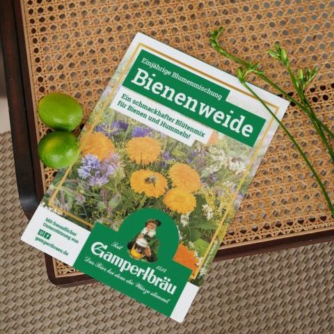 Grafik und Werbetexte erstellen in Kronach Oberfranken